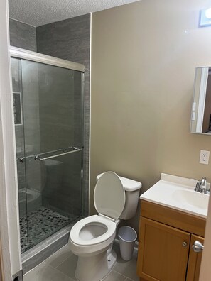 Douche, sèche-cheveux, serviettes fournies, papier toilette