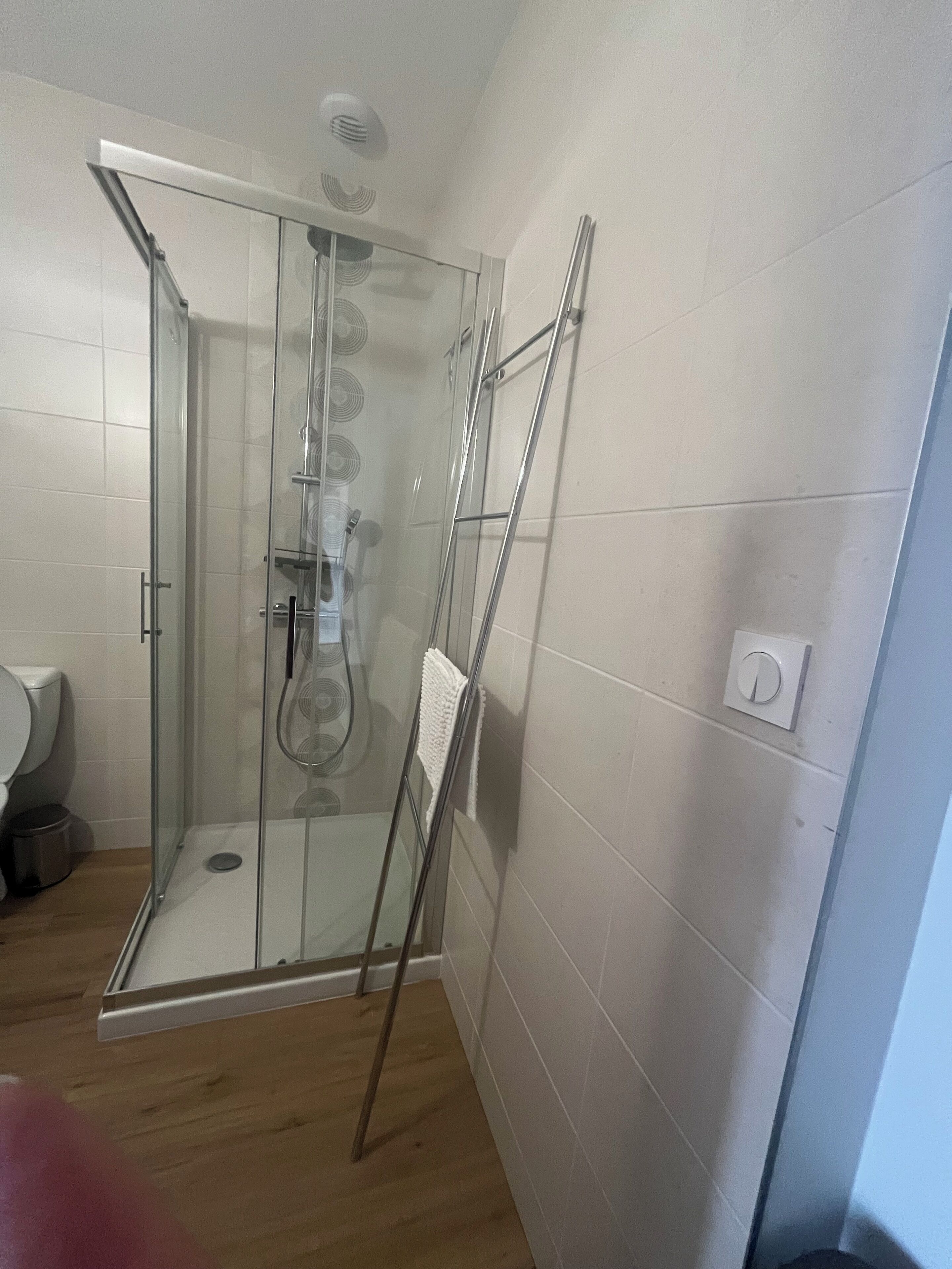Een douchecabine met glazen wanden, een handdouche, een handdoekrek en een toilet in de aangrenzende ruimte.