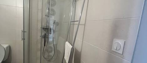 Een douchecabine met glazen wanden, een handdouche, een handdoekrek en een toilet in de aangrenzende ruimte.