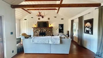 Smart TV, fireplace, books