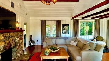 Smart TV, fireplace, books