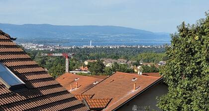 Charmant Duplex T3, 67m2 terrasse extérieur de 13m2, 1km de GenÚve, parking box.