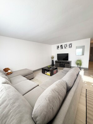 Smart TV, books