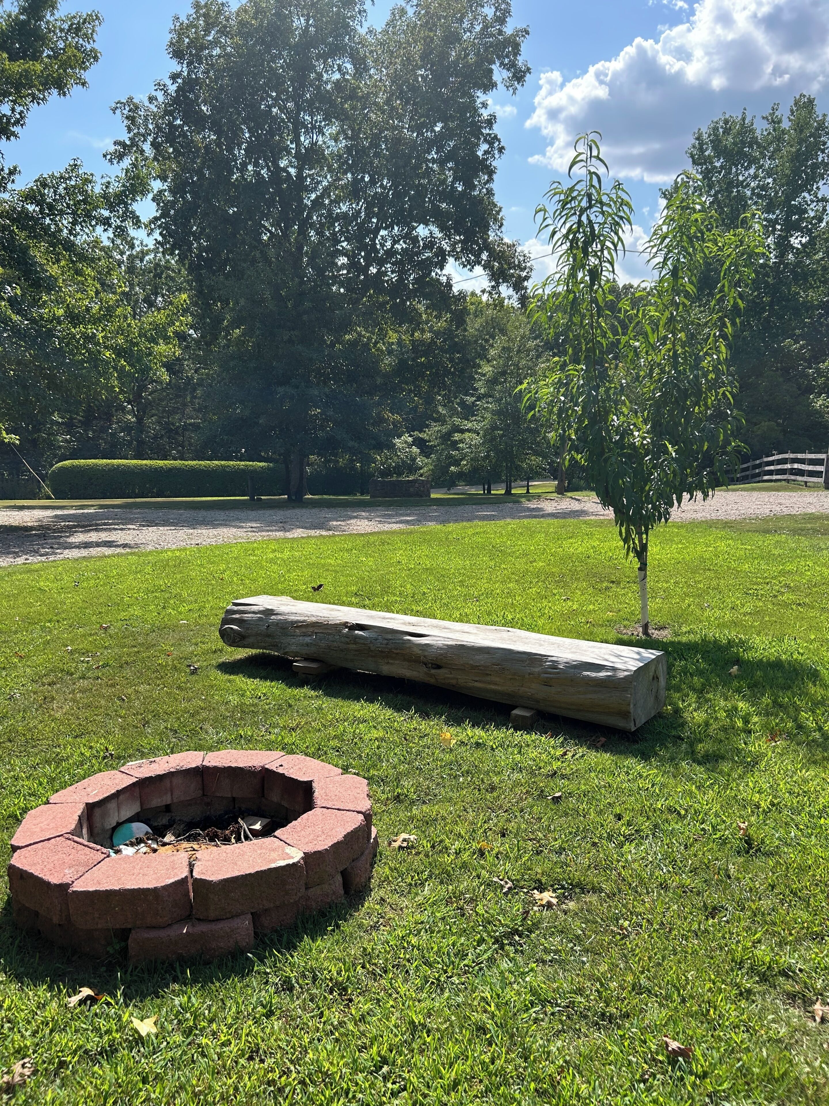 Un espace herbeux avec un foyer en briques et un banc en bois.