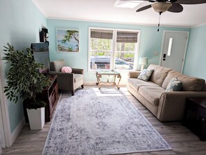 Smart TV, DVD player, books, video library