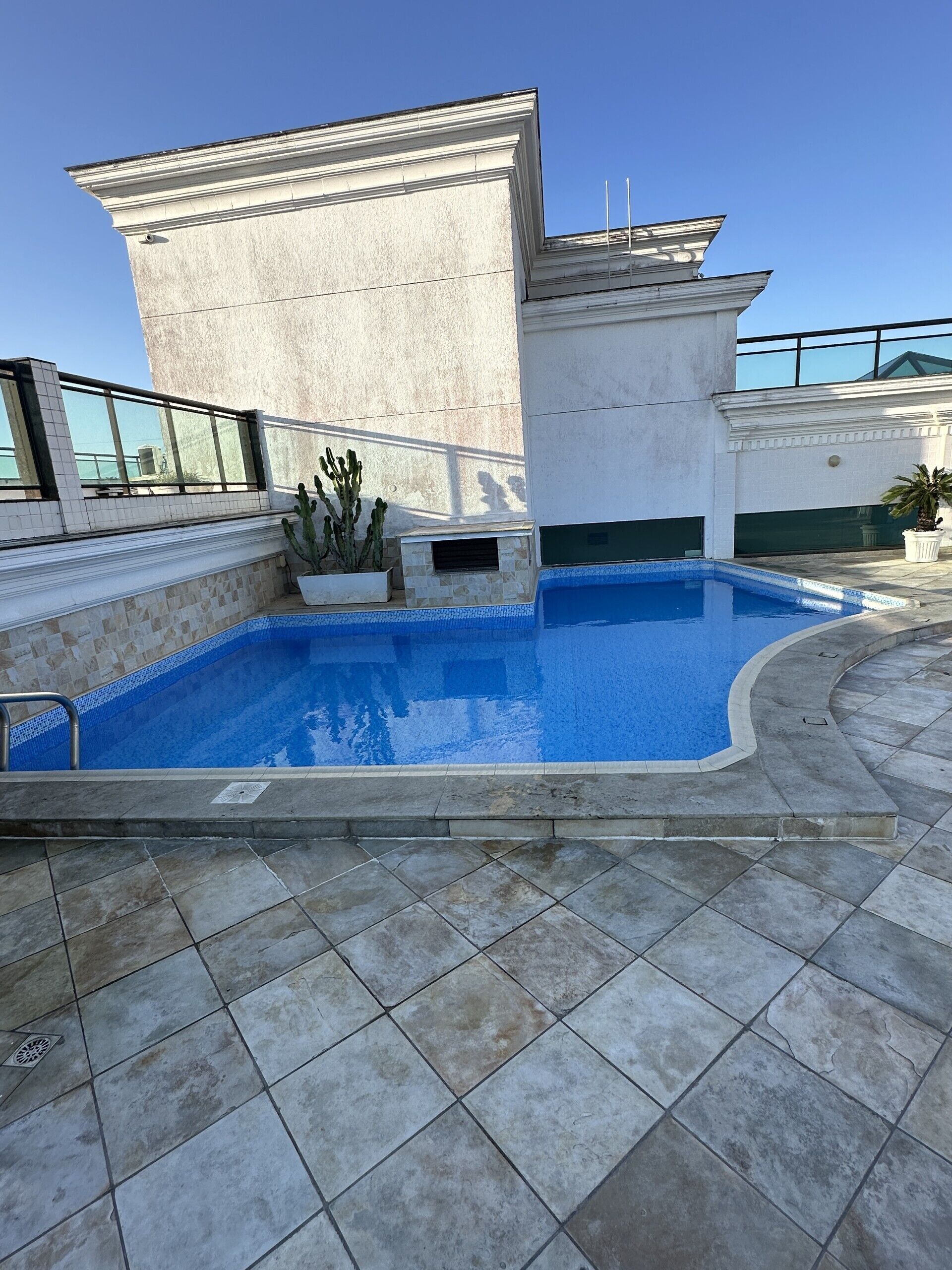A swimming pool with a stone border, a cactus plant, and a modern building with large windows.