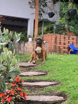 Área da propriedade