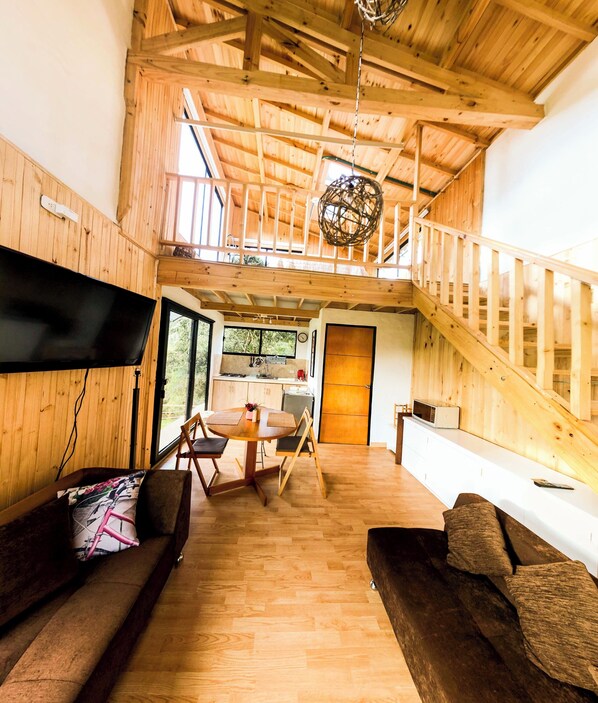 Smart TV, caminetto, lettore DVD, libri