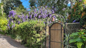 Ein Garteneingang mit einem hölzernen Tor, umgeben von üppigem Grün und violetten Blüten.