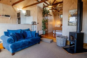 Televisión y chimenea 