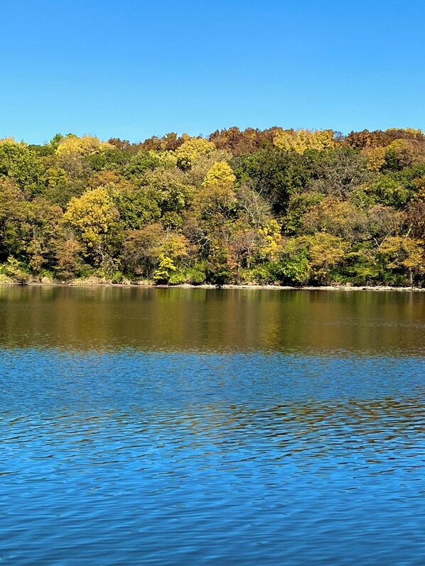 Un lago tranquilo con un promontorio boscoso al fondo.