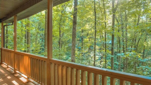 Una terrazza in legno coperta con vista su una fitta foresta.