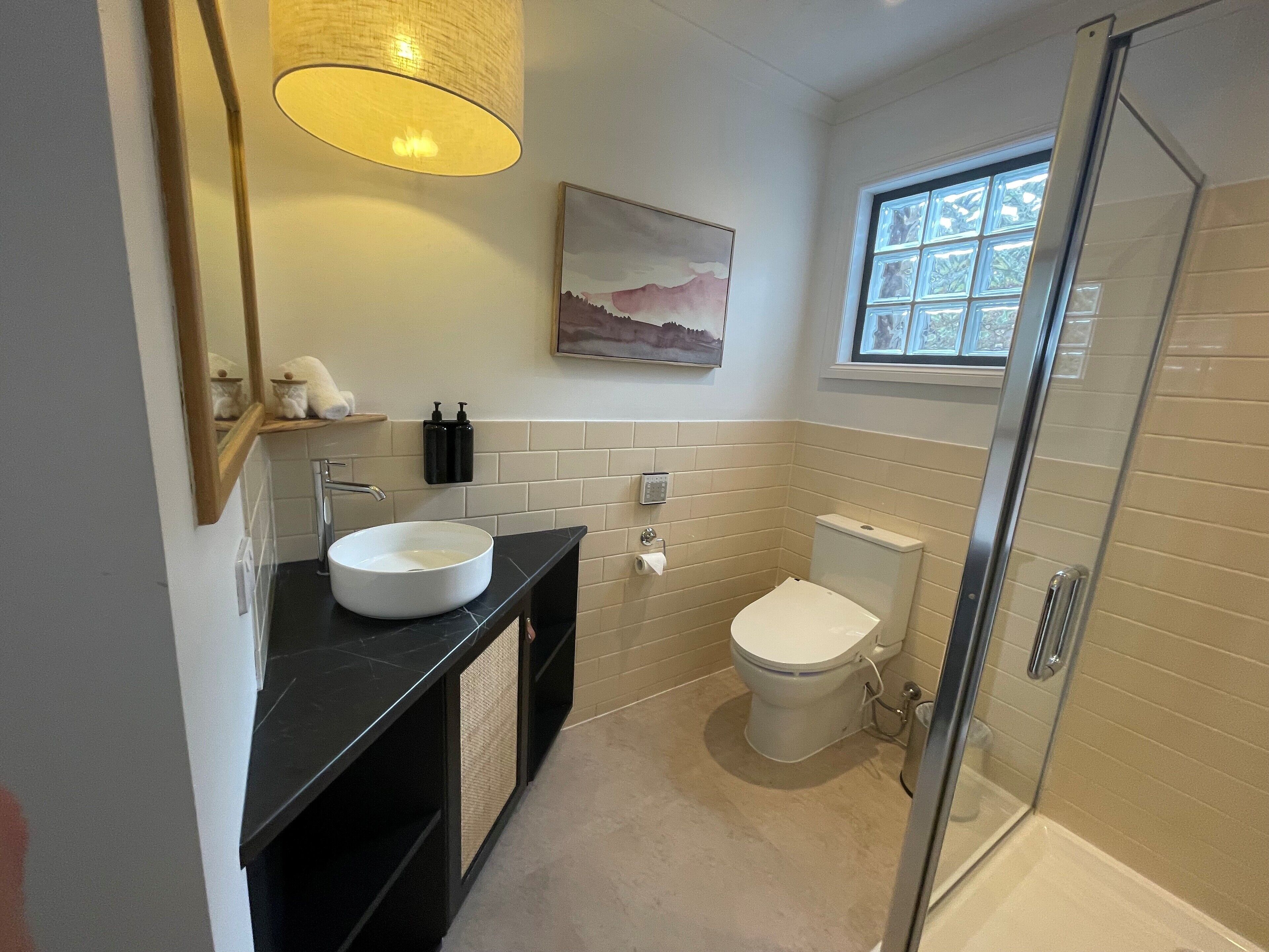Shower, hair dryer, bidet, towels