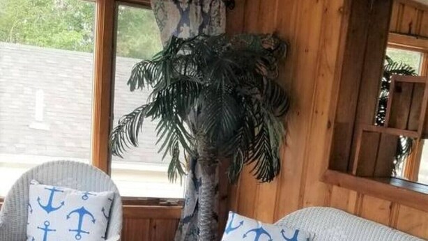 Una habitación acogedora con detalles de madera, que incluye un sofá de mimbre blanco con cojines de estampado azul y blanco, un sillón a juego y una pequeña mesa blanca.