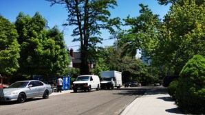 A street scene with parked cars, a sidewalk, and trees.