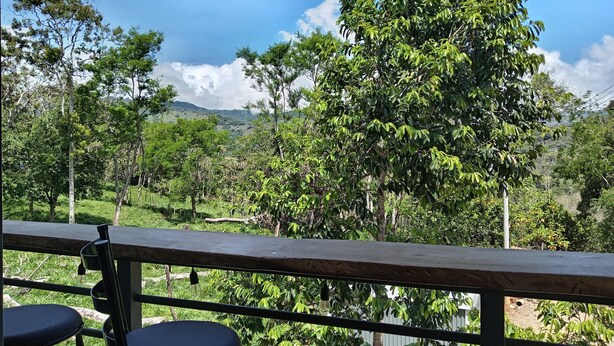 A view from a balcony with a wooden railing, overlooking a lush green landscape with trees and hills. - Magnolia Farm Suite
      Giffin House
       Pet friendly (San Isidro de El General)