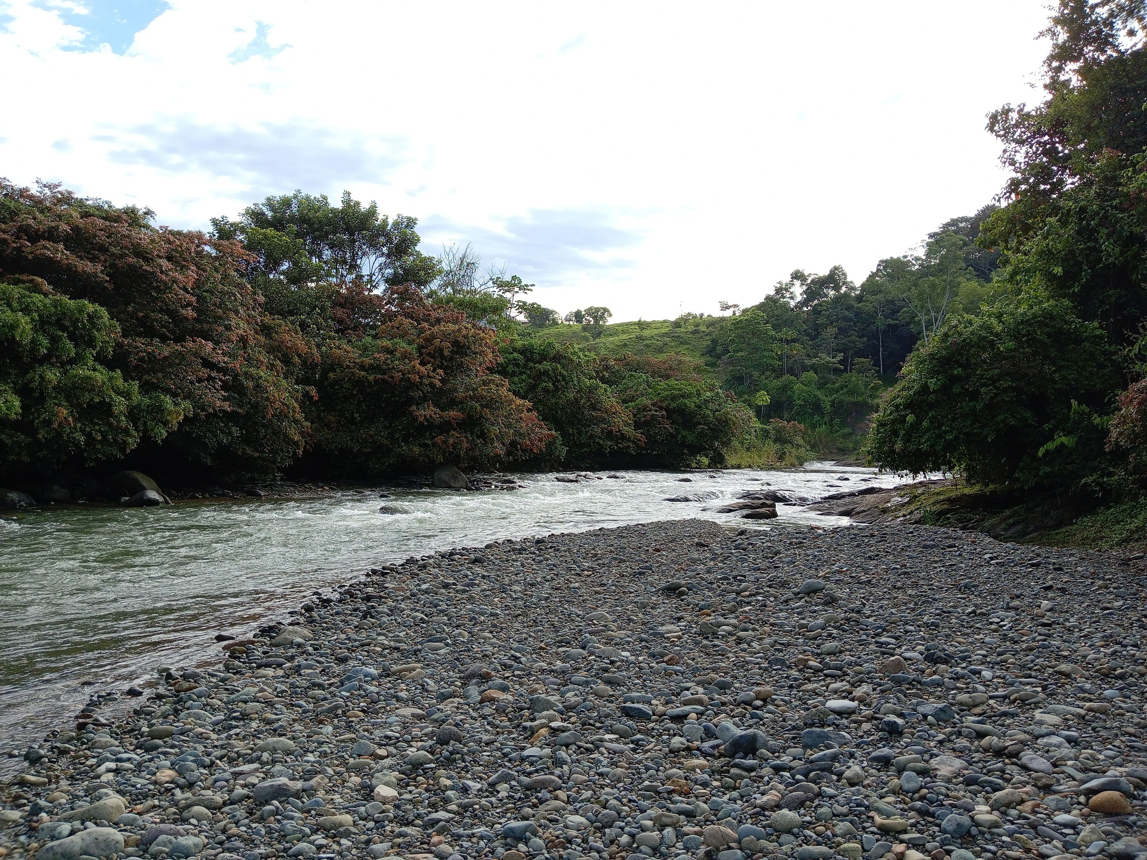 A river flowing through a rocky landscape with dense foliage on both sides.