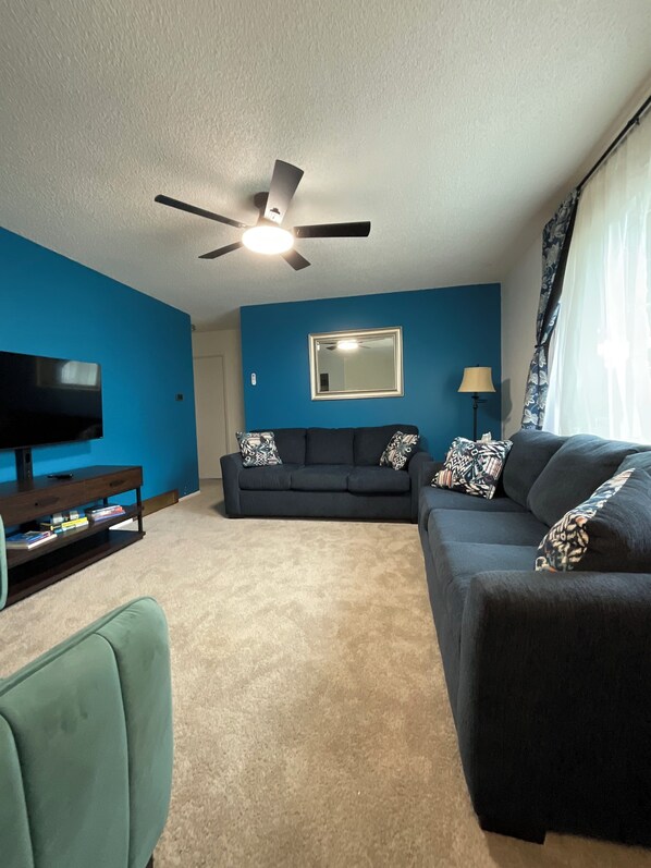 Smart TV, DVD player, books, video library