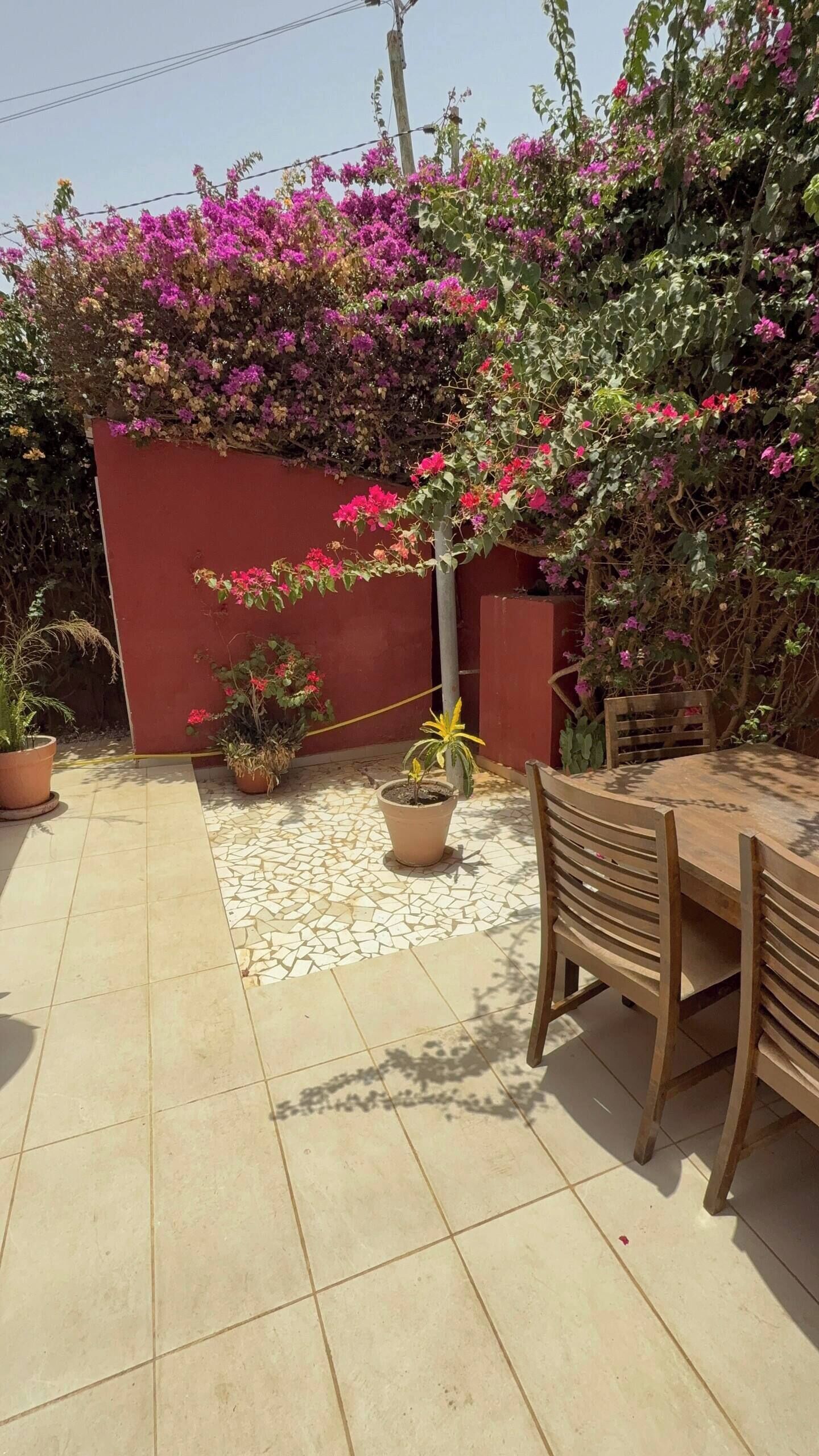 屋外ダイニングエリア