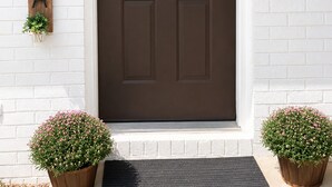 A brown front door with a mailbox, a potted plant, and a number sign on the wall.