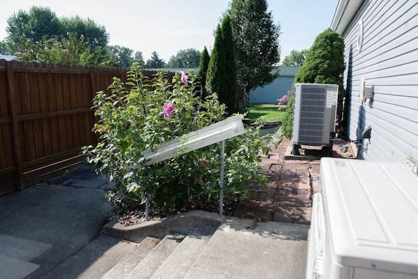 Àrea exterior de l'allotjament