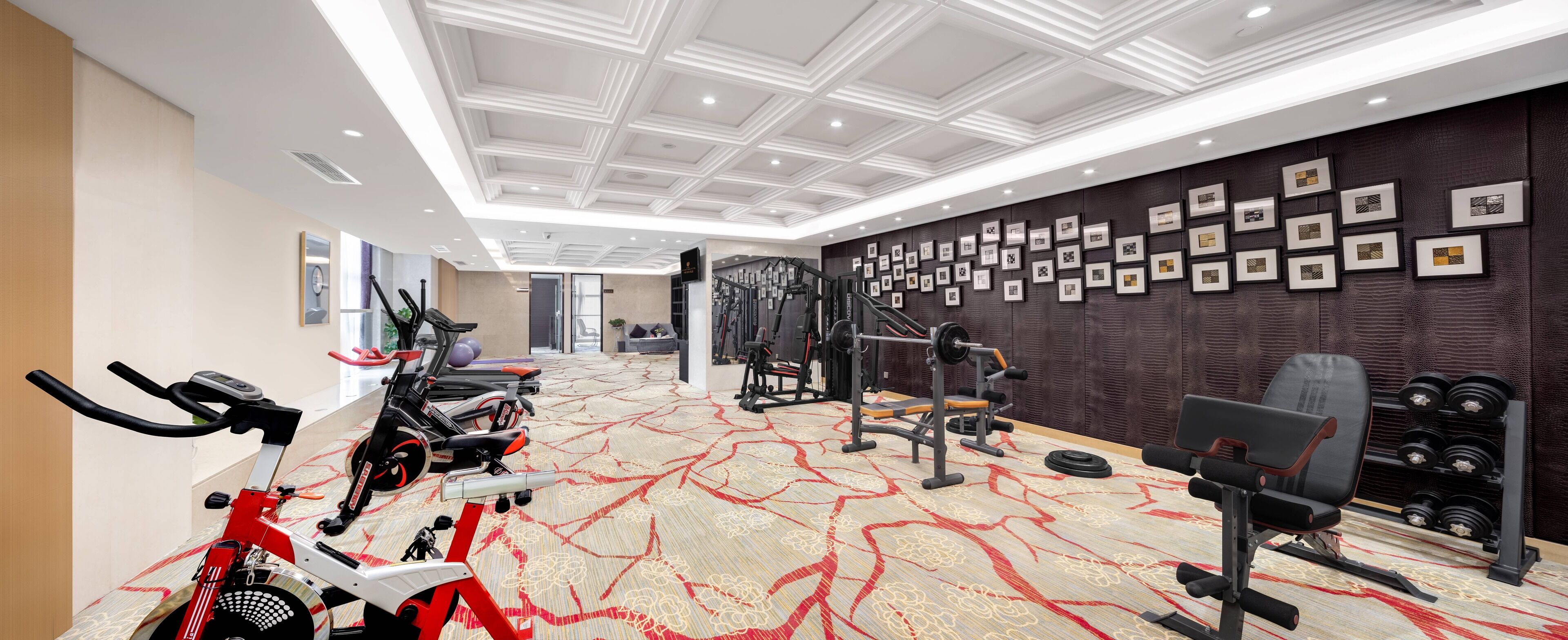 A gym with exercise equipment, a patterned carpet, and framed pictures on the wall.