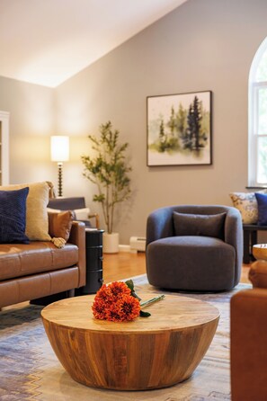 Smart TV, fireplace, video games, DVD player