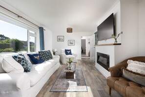 TV, fireplace, books