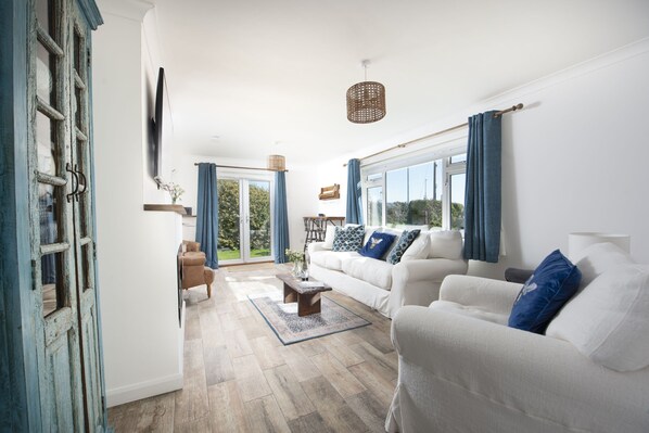 TV, fireplace, books