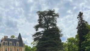 Un couple est assis sur un banc au bord d’un lac, avec un grand bâtiment en arrière-plan.