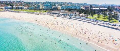 Chaises longues, serviettes de plage