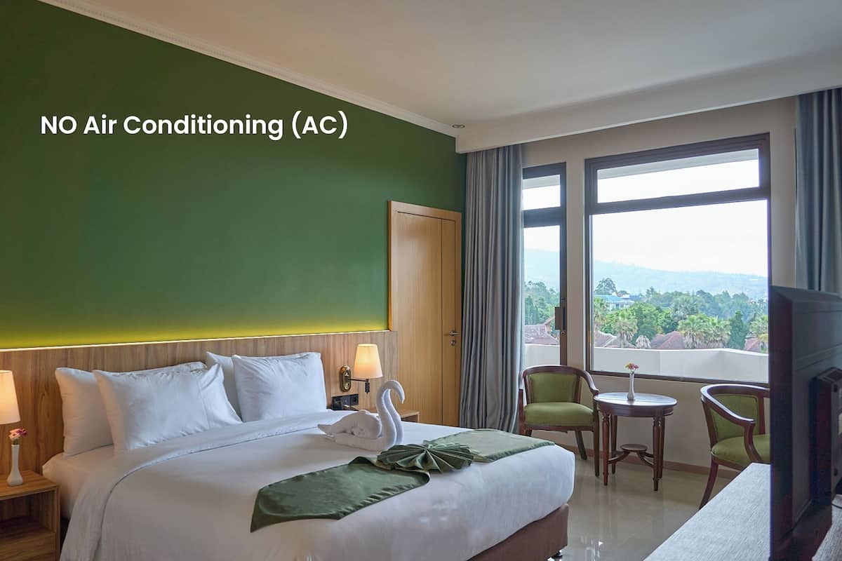 Deluxe Grand Queen Balcony (With Air Cooler)