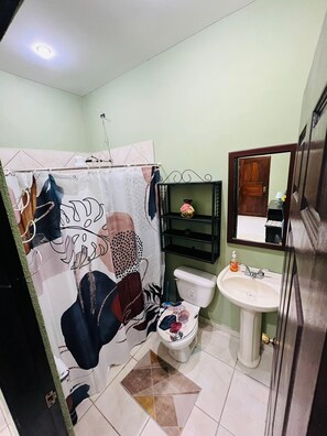 Hair dryer, towels, soap, toilet paper