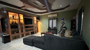 Sala de estar com sofá modular, televisão, árvore de Natal e estante decorativa.