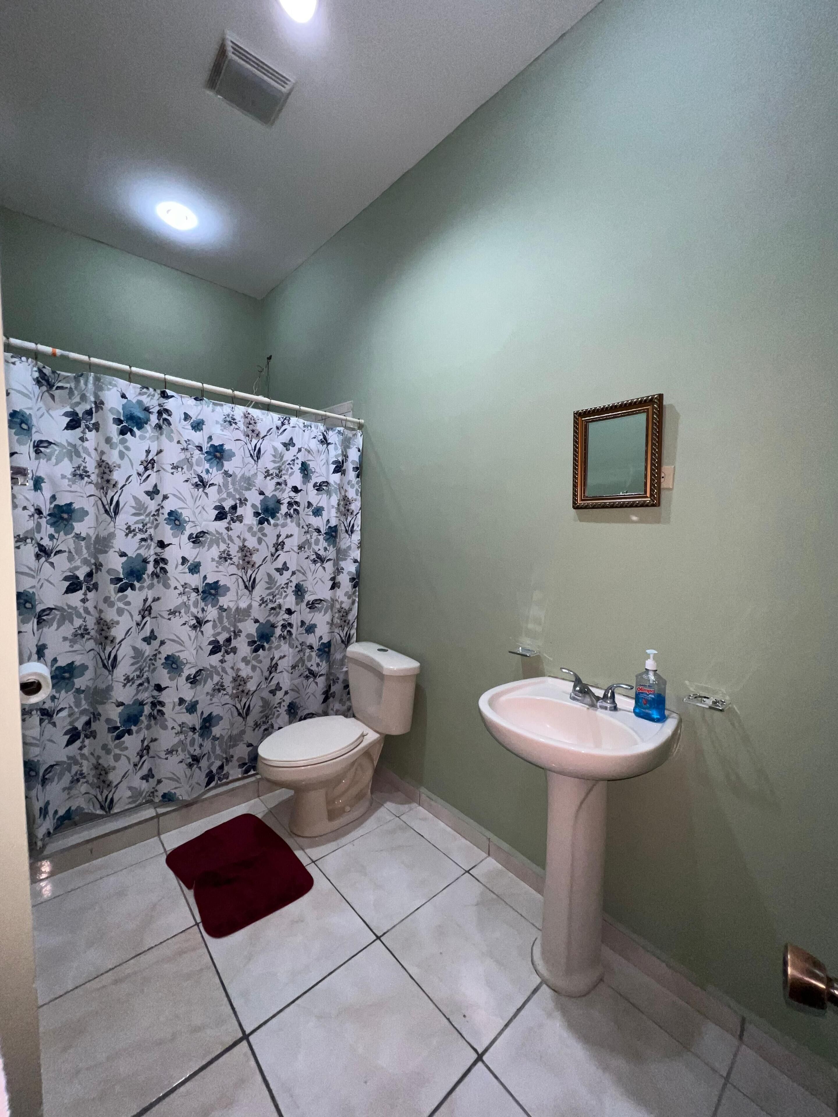 Un baño con inodoro, lavabo, cortina de ducha y espejo.