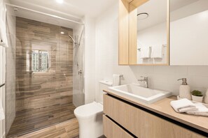 Hair dryer, towels, soap, shampoo