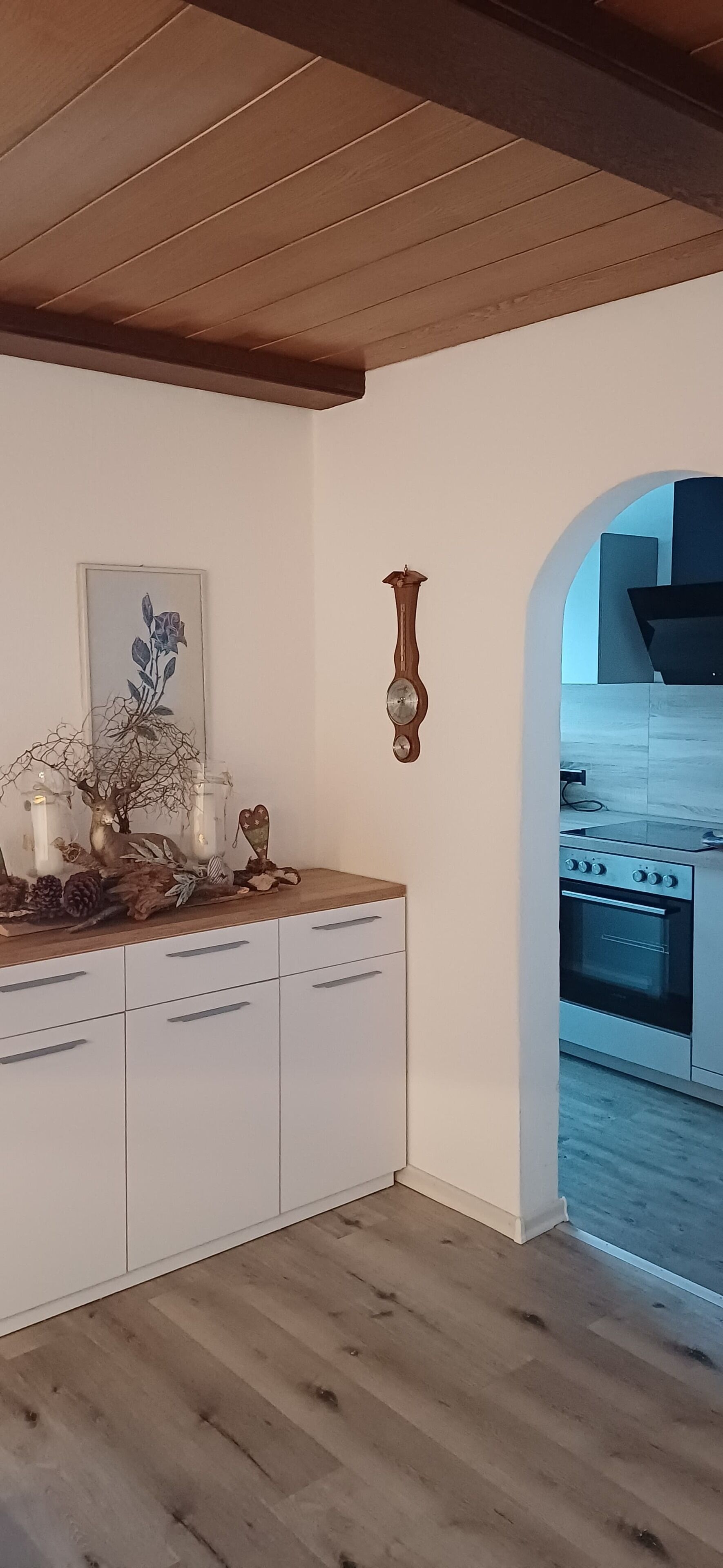 Kühlschrank, Herdplatte, Geschirrspüler