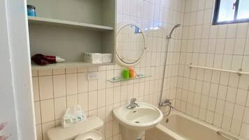 Assecador de cabells, tovalloles i paper higiènic