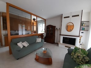 Smart TV, fireplace, books