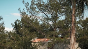 A stone building with a tiled roof, surrounded by trees and a swimming pool with lounge chairs. - KeyUrla (Urla)