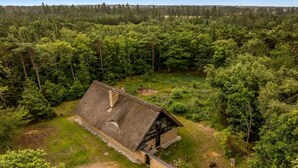 Une cabane rustique au toit de chaume, entourée d’une forêt dense.