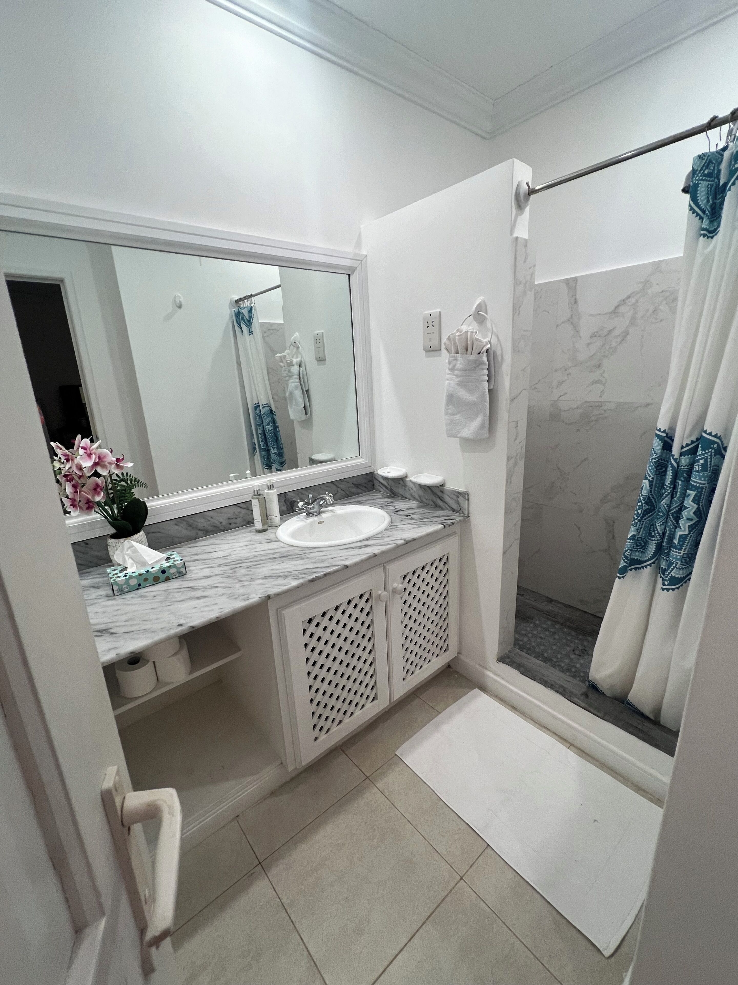 A bathroom with a white sink, a mirror, a shower with a curtain, and a toilet.
