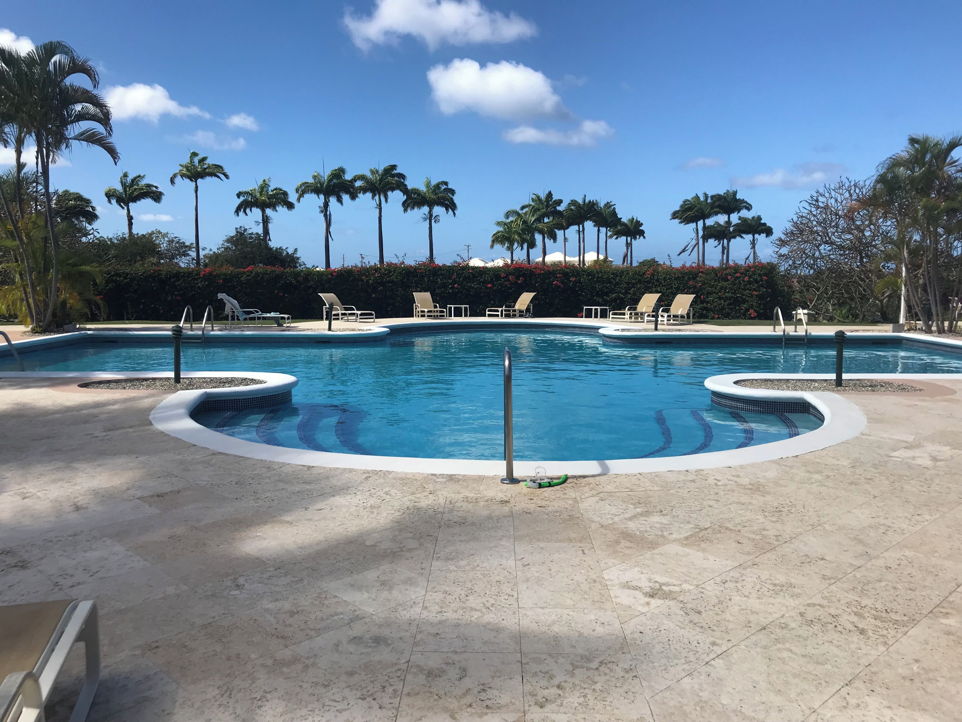 A swimming pool with lounge chairs and palm trees.