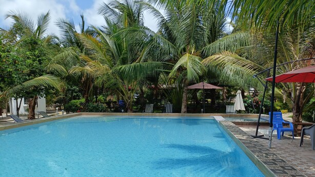 A swimming pool with blue water, surrounded by palm trees and lounge chairs.