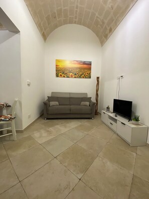 TV, fireplace - Vacation home sunflower mansion (Brindisi)