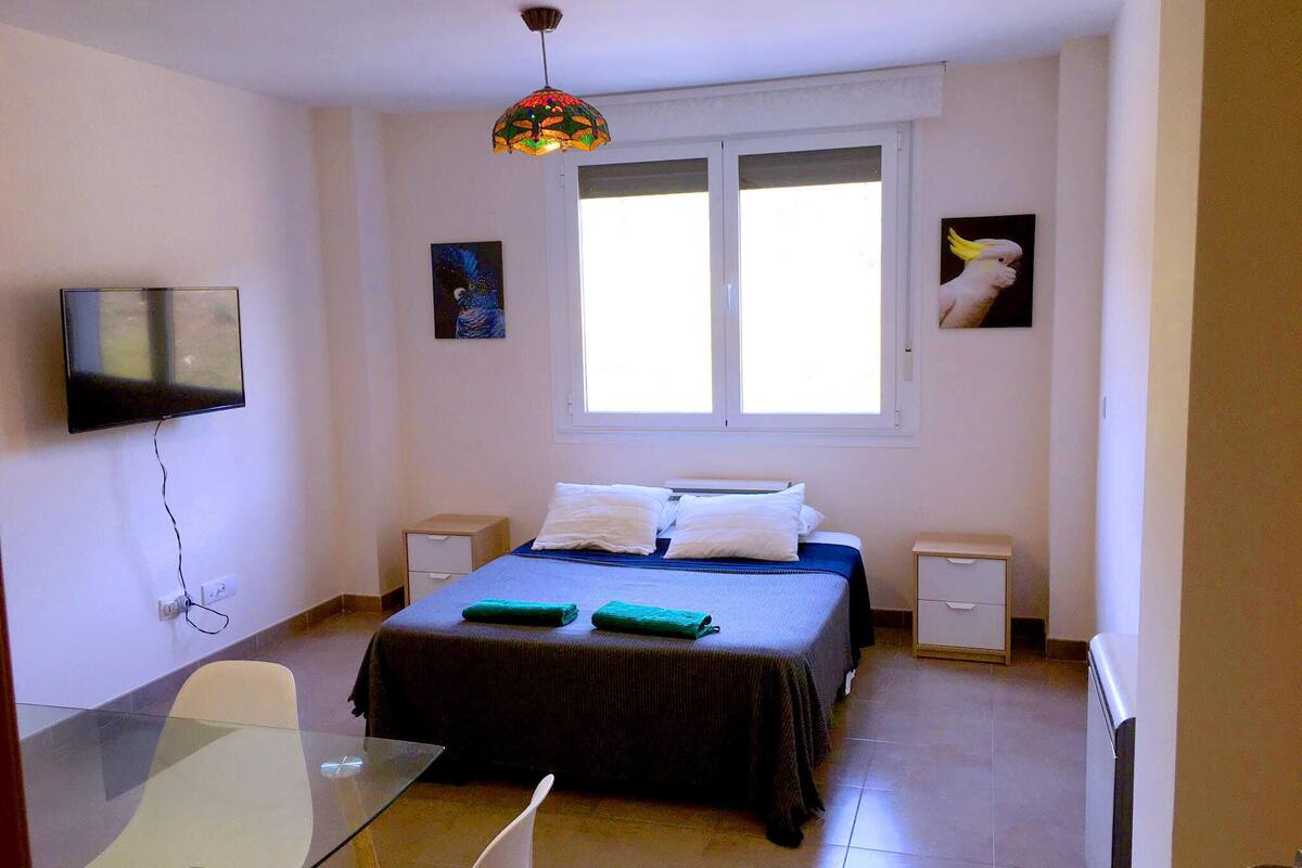 Chambre Familiale Double ou avec lits jumeaux, véranda, vue montagne | Espace de travail pour ordinateur portable, fer et planche à repasser