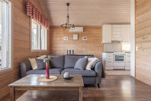 House | Living area | Fireplace