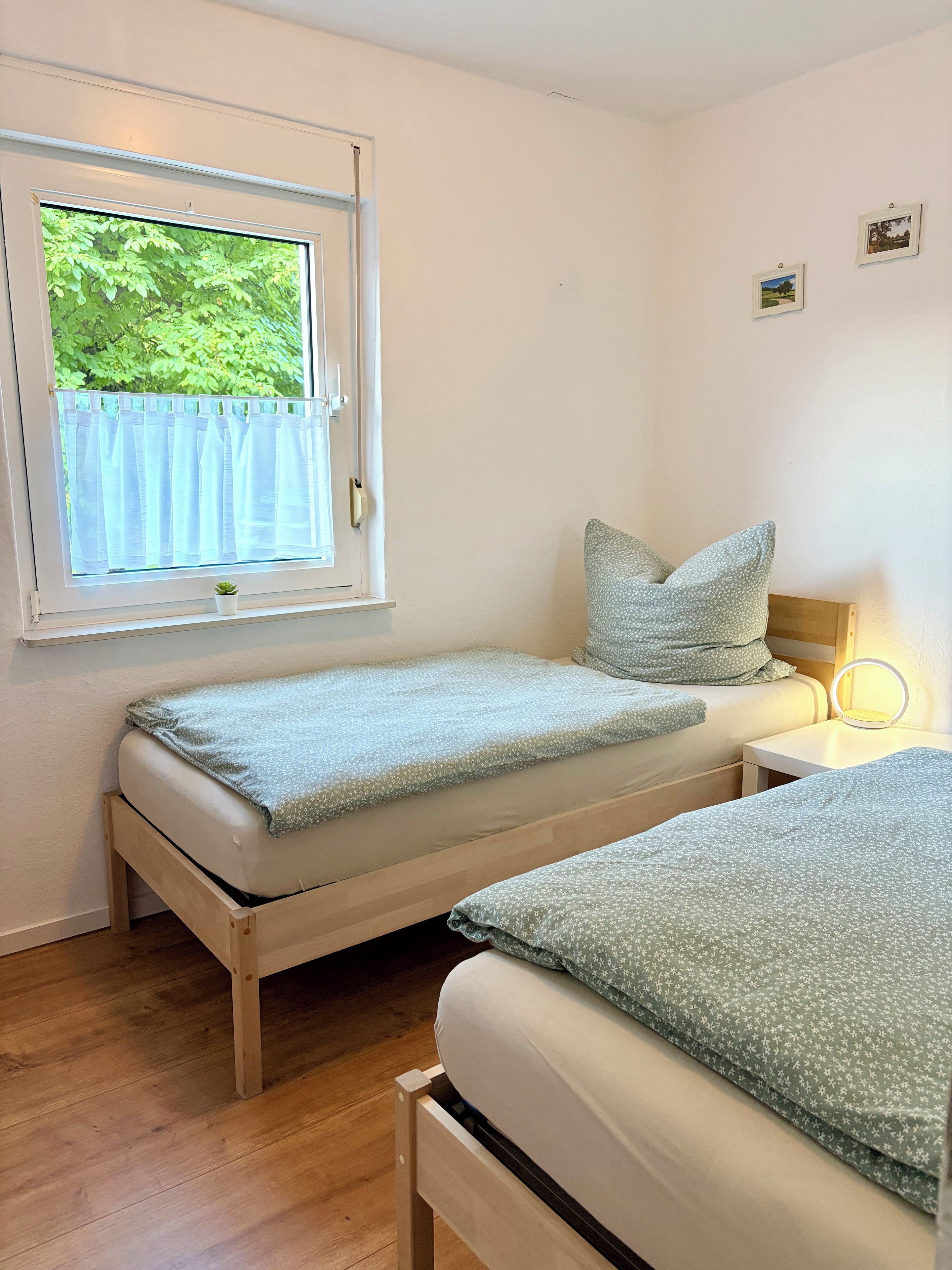 A bedroom with two single beds, a window with curtains, a bedside table with a lamp, and a small plant on the windowsill.