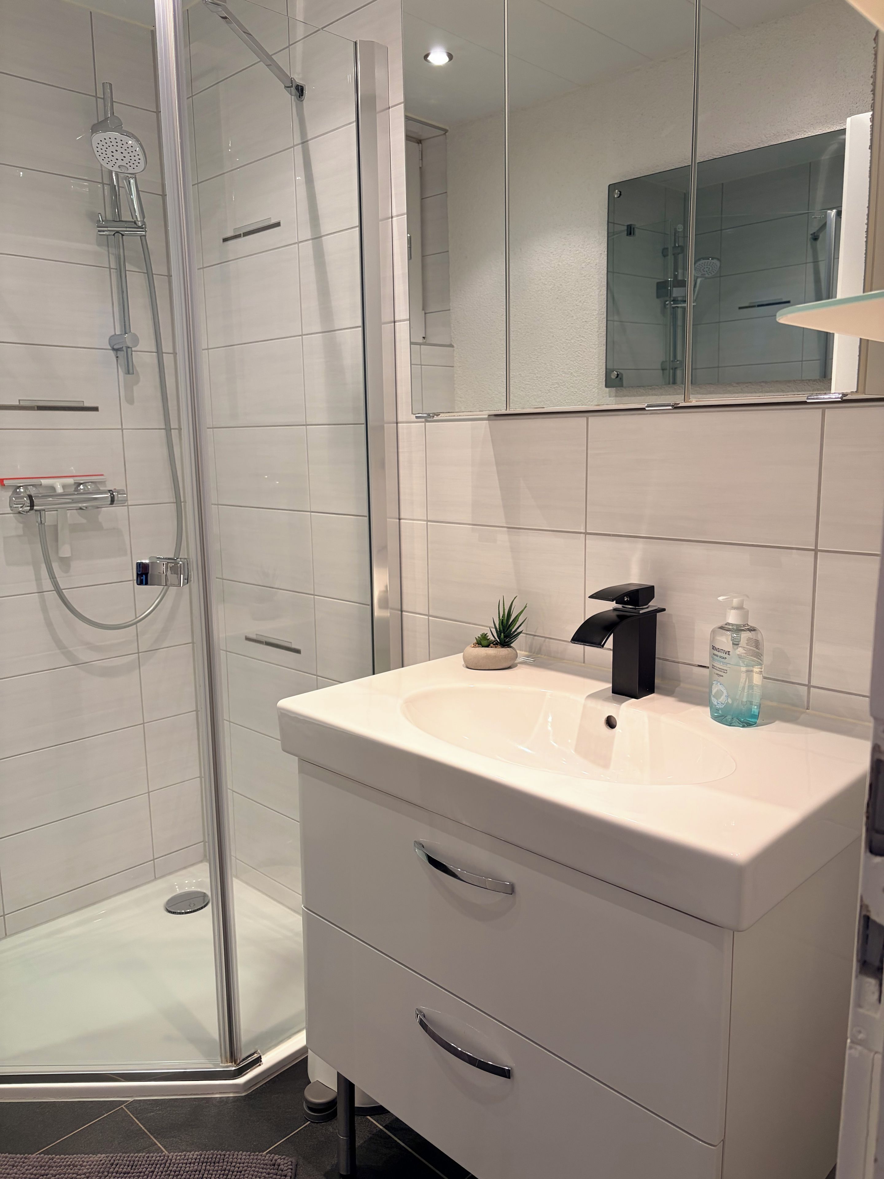 A modern bathroom with a glass-enclosed shower, a white sink with a black faucet, and a small potted plant on the countertop.