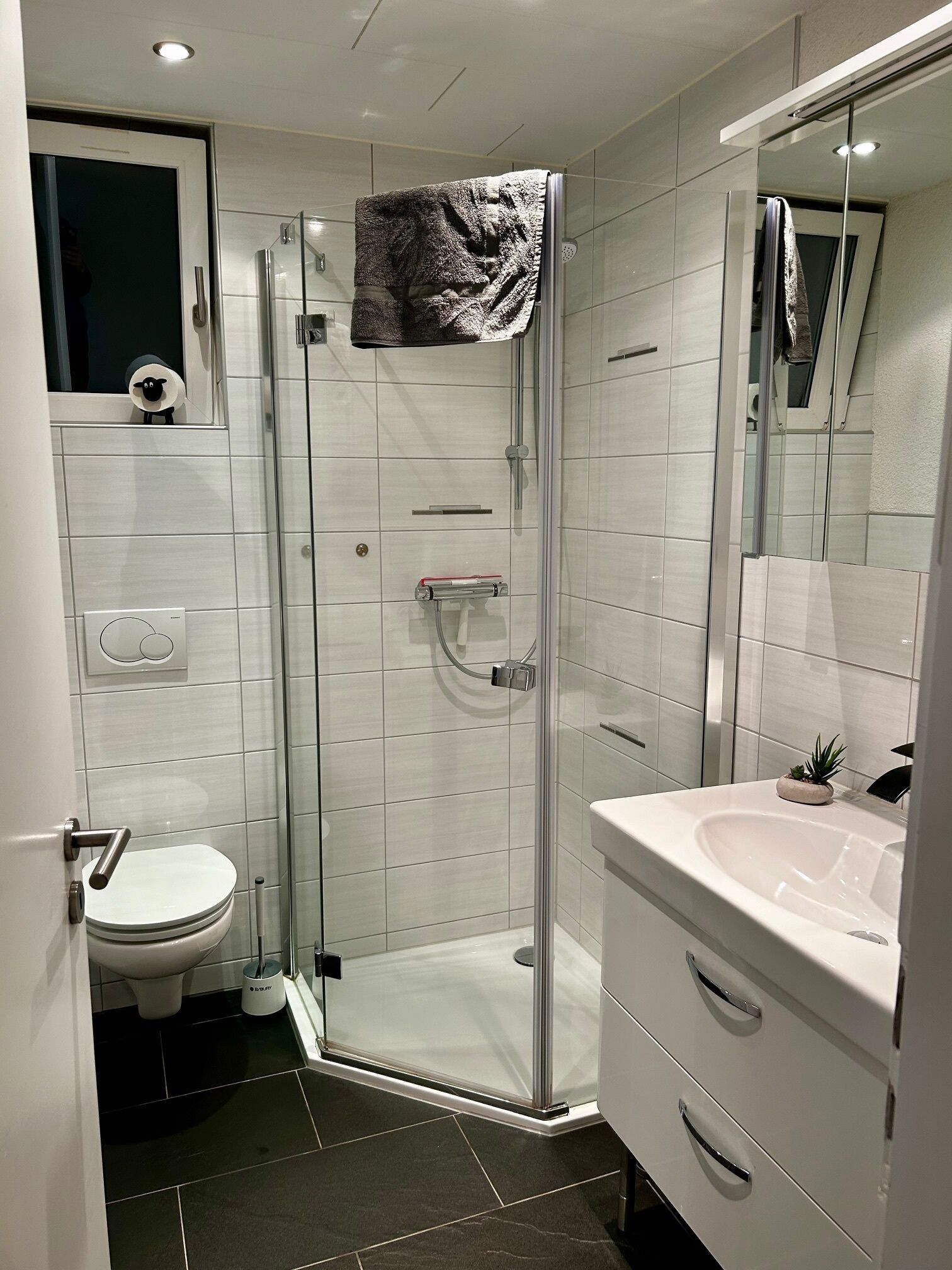Haartrockner, Handtücher, Seife, Toilettenpapier